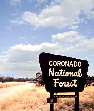 corocado national forest